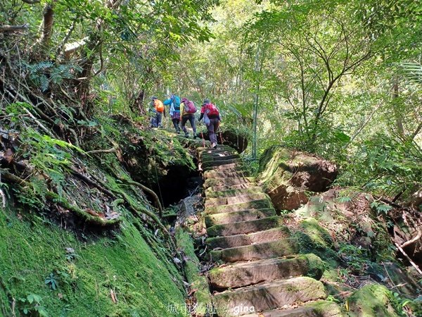【新北平溪】平溪小三尖。 孝子山、慈母峰、普陀山、慈恩嶺O繞2801675