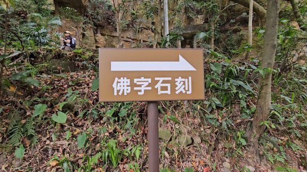 圓通寺烘爐地登山步道大O走3007072