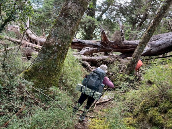 2025/09/13-14 小完美畢祿2926590