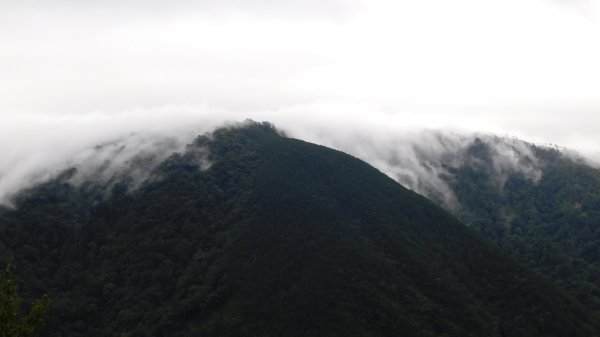 國慶日走雪主東464537