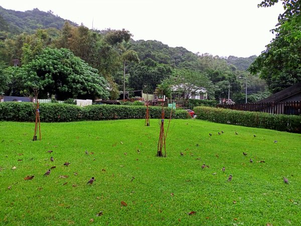 內湖大港墘公園、大湖公園 (防災公園) 【走路趣尋寶】1896636