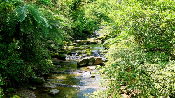 畝畝山。又上說2768125