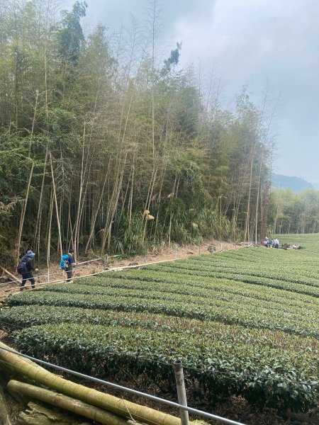 1120329奮瑞古道2643559