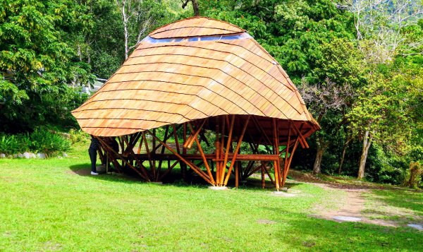 知本森林遊樂區3015067