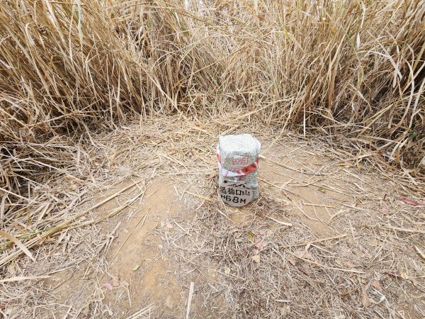 20260125口山步道2995129