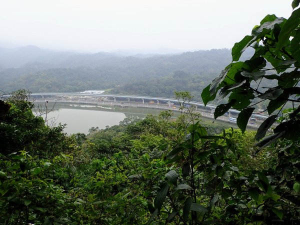 白鷺鷥山-康樂山-明舉山-東湖樂活公園537611