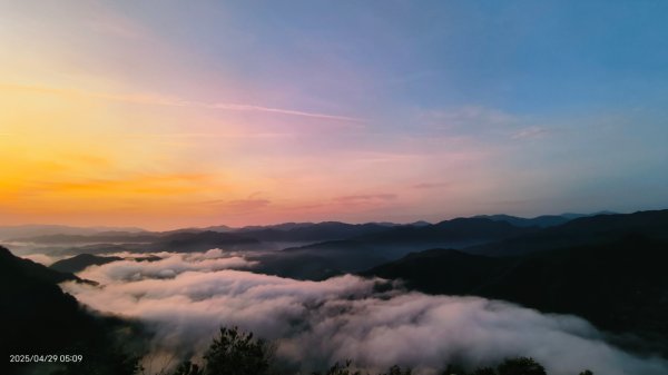 翡翠水庫壩頂 #火燒雲雲海 #日出雲海 #鱷魚島 #藍腹鷴 4/292772676