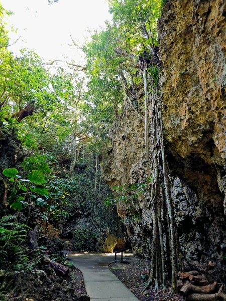 墾丁國家森林遊樂區步道群-(屏東)臺灣百大必訪步道2731241