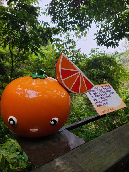 大坑10號提前修好啦(10號上+6號+7號下)2753643