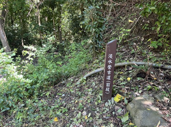 [屏步青雲 尋寶任務-04/10] 2024_0917 浸水營步道（前段）2597899