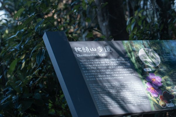 枕頭山古砲台歷史古道O型（含薑母島）2948483