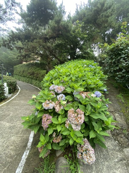 20250705-Ep.01野馬瞰山步道-2025森遊竹縣皮皮獅探險隊2851265