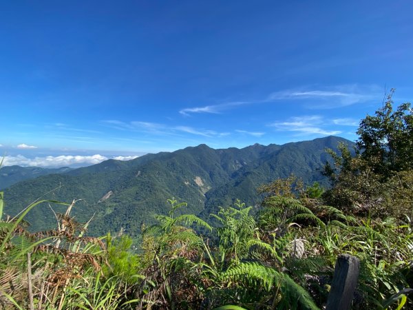 谷關七熊-東卯山2609333