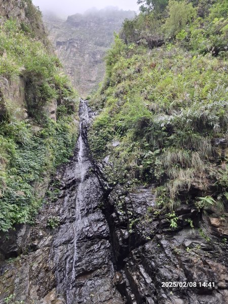 2025.02.08 限時秘境?菜市場? 北港溪峽谷步道2709062