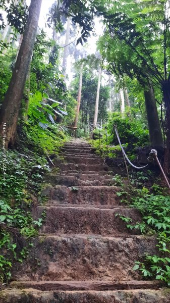 《新竹》不見五指｜北埔五指山登山步道上中指峰202410102619051