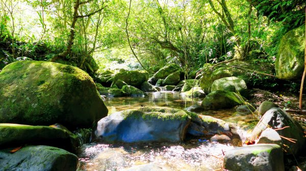 中坑古道東山西山2896470