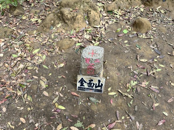 桃園金面山2752292