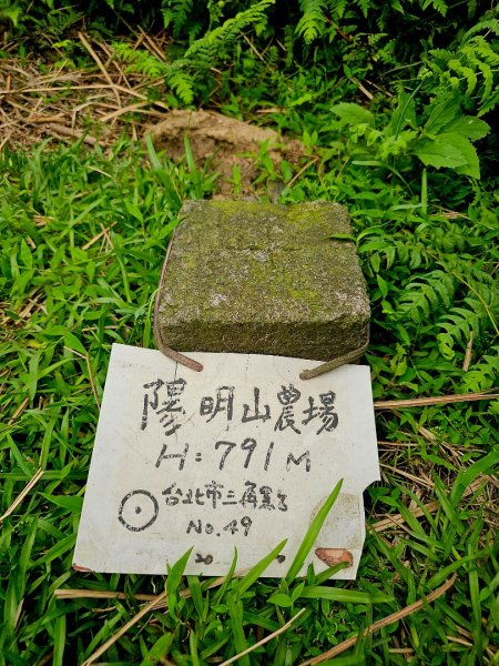 2026年臺北大縱走第三段：小油坑至風櫃口3037889