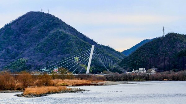 織田信長的天下夢2980792