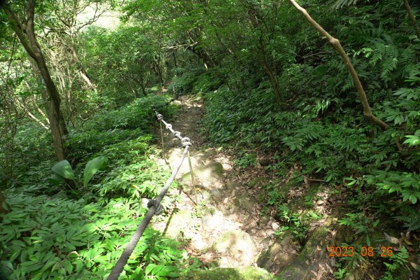 基隆 頂寮山、龍門山、五分山、頂子寮山2265966