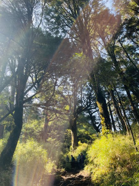 1140404二訪～塔關山2754067