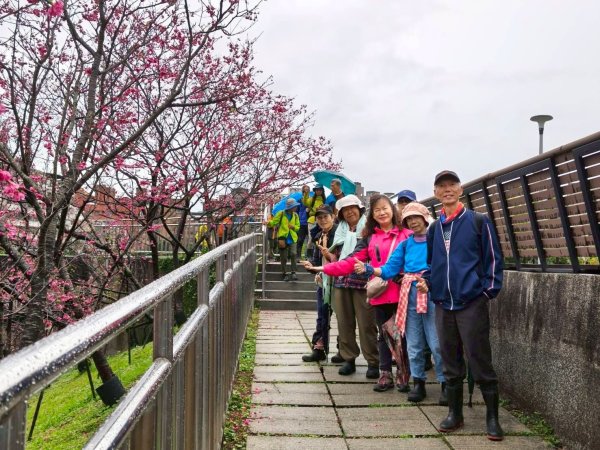 東湖樂活公園→內溝溪步道→五分埤生態濕地→內溝溪生態展示館、花博公園圓山園區→撫順公園3031625