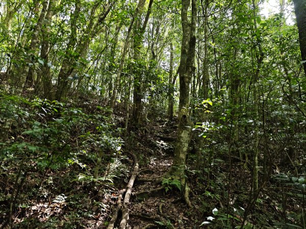 2025_0601 赫威山2802312