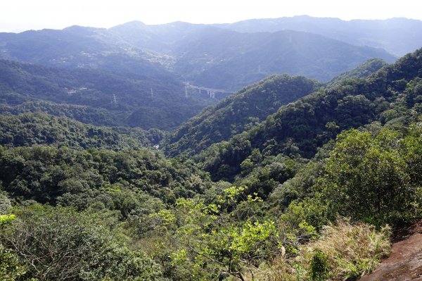 親子健行-永定坑山連走皇帝殿連稜下石碇823147