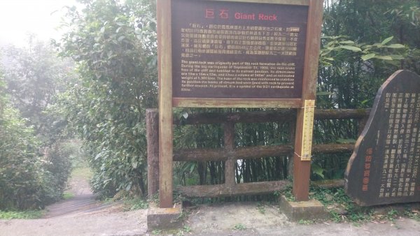溪頭天文台登山步道、神木步道1523947