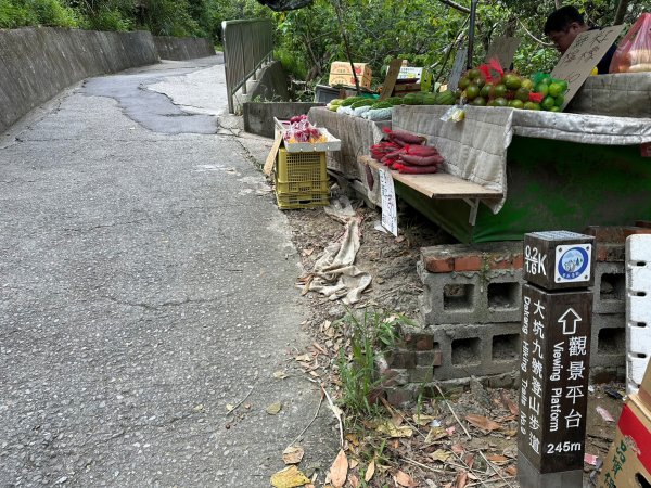 大坑9號步道上10號步道下繞O行一圈2219044