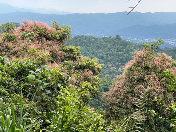 1140601石門山2803241