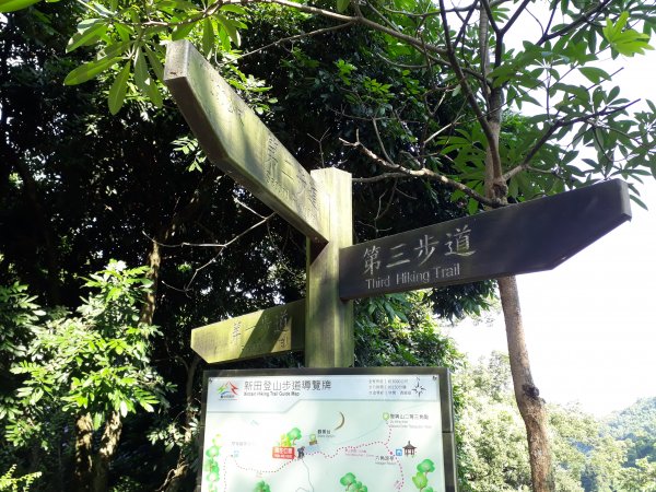 新田山登山步道(聚興山)712994