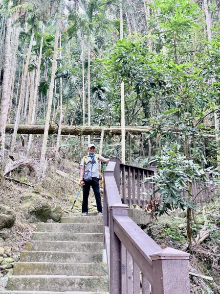 二尖.大尖山悠遊--好友再聚的茶園餘韻   2026.01.182985465