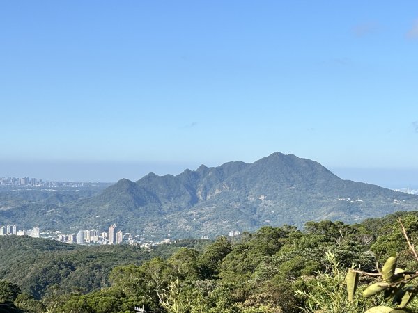 面天山、向天山、向天池2921011