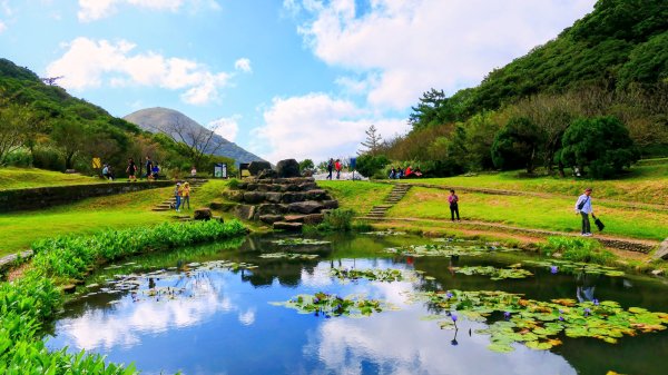 向天蝦不蝦2936845