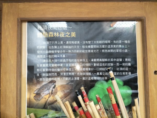 社頂生態保護區1343668