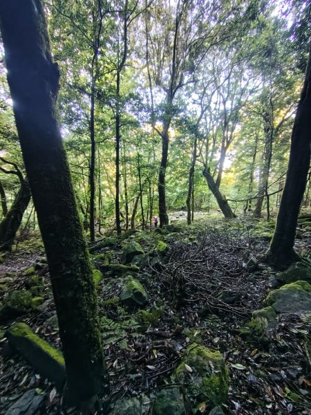 稍來小雪山國家步道、船型山、鞍馬山、鞍馬山東北峰、天池、雪山神木2799821