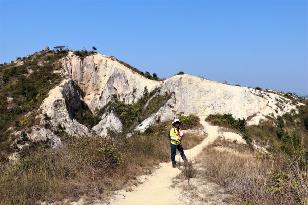 HK - 青山復地1482575