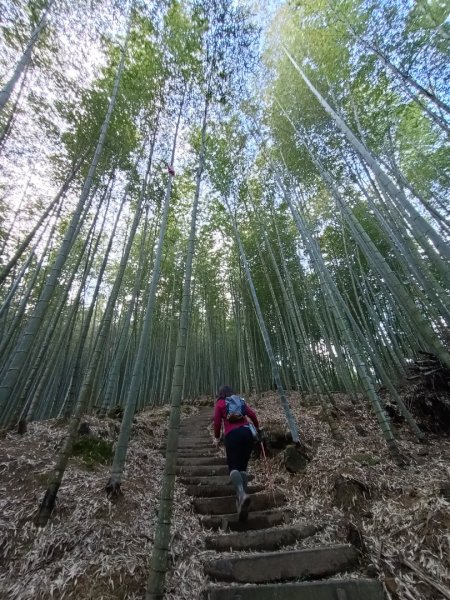 嘉南雲峰+石壁山1672972