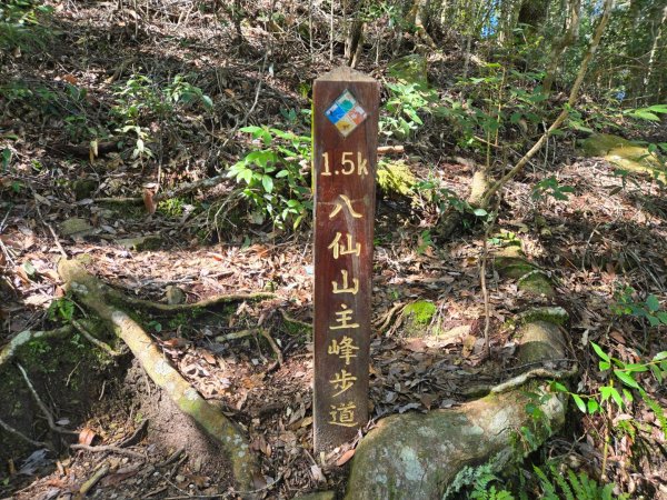 八仙山森林遊樂區、佳保台山2712666