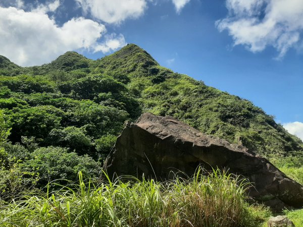 金瓜石，與奈良美智的詩意邂逅2883194