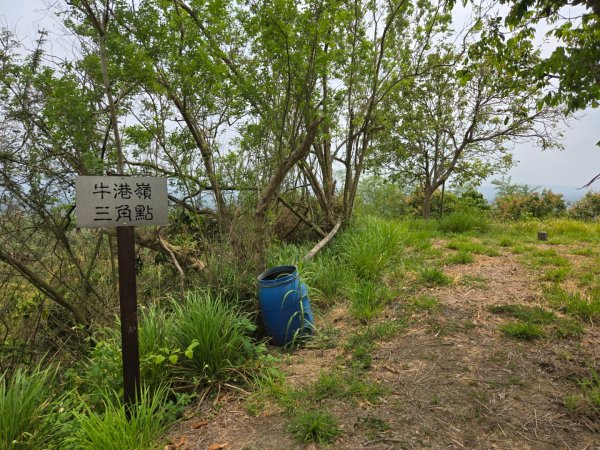 2025-04-07 左鎮後坑古道（牛港嶺）2757670