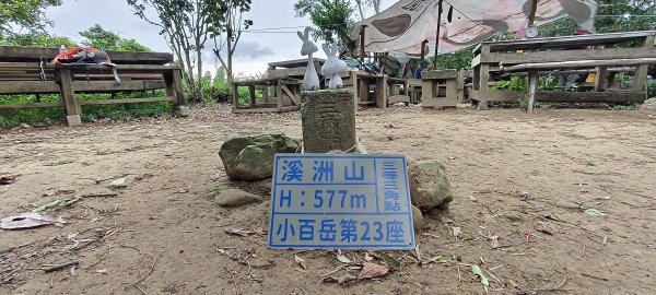 2025/07/19-大艽芎古道上溪洲山O型2841555