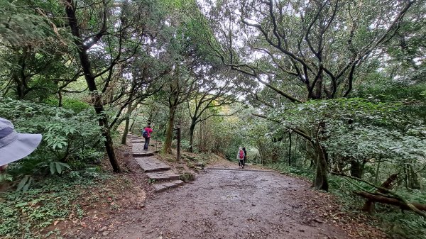 台北大縱走第一段1249201