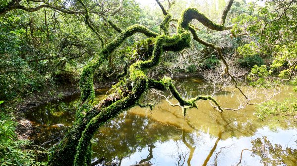《蝶戀花。五色春深》2731662