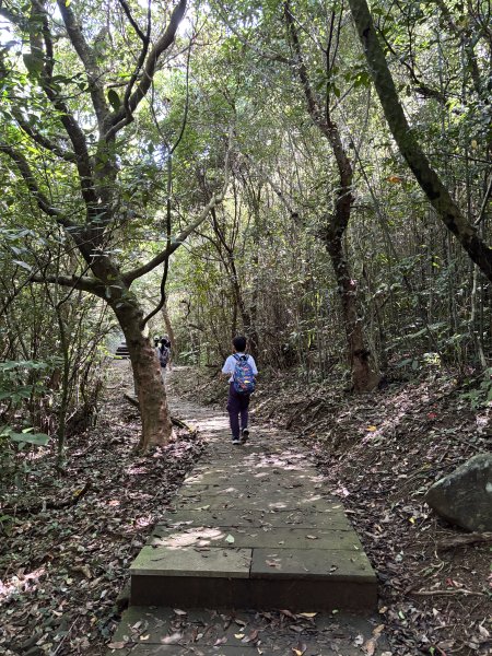 龜山島 401 高地登島2899107