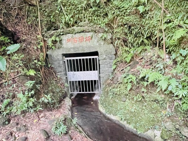 1140926坪頂古圳親山步道2895485