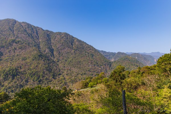 谷關七雄_唐麻丹山3015653