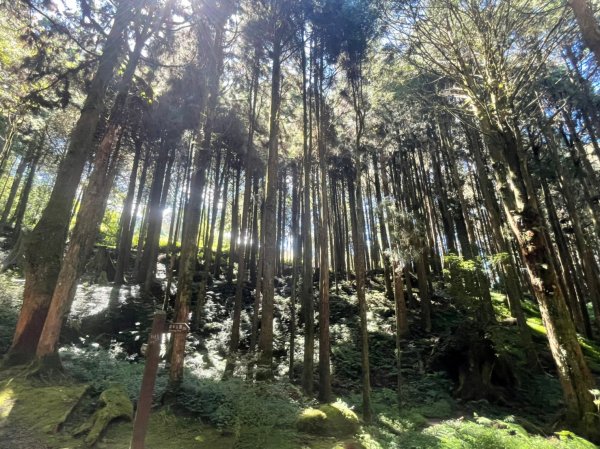 小百岳(59)-大塔山-202209251878711