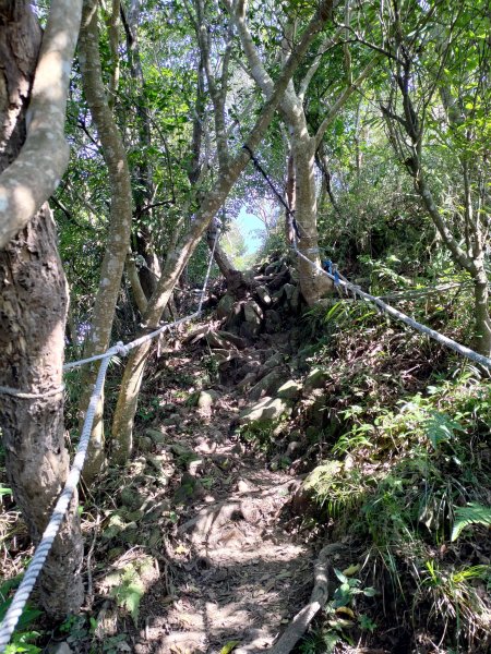 觀音山小北插-鷹仔尖-占山-福隆山步道808480